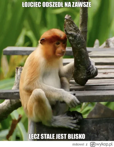 milovel - #konkursnanajbardziejgownianymemznosaczem