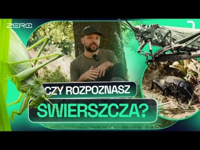 onepnch - @karteczka_samoprzylepna Na pewno to był konik polny?