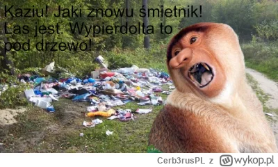 Cerb3rusPL - #konkursnanajbardziejgownianymemznosaczem