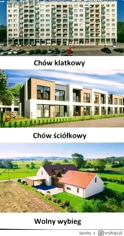 Spofity - @mrocznegacie