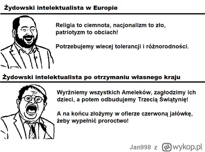 Jan998 - Żydowski intelektualista
#zydzi #izrael #palestyna #heheszki #memy