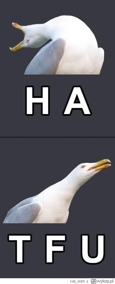 rob_m85 - #gownowpis #heheszki #humorobrazkowy