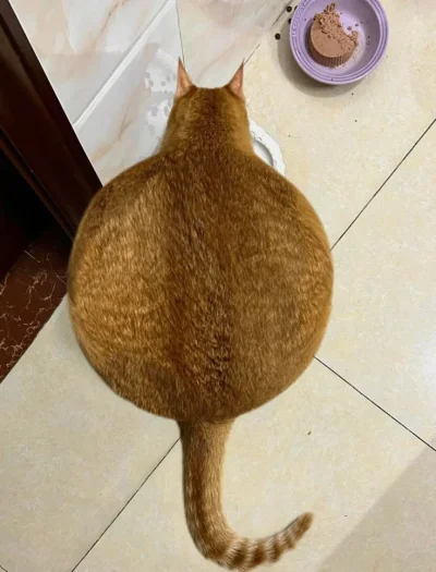 deap - Wszystkie poprzednie foty nie były przesadzane, dopiero ta o 0,0005 enhanced.
...