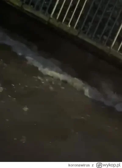 koronawirus - Ale rzeźnia co się dzieje u nas w powiecie, wszystko pod wodą, mosty na...