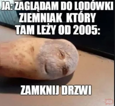 splinter96 - @IksdeHeheh: tak