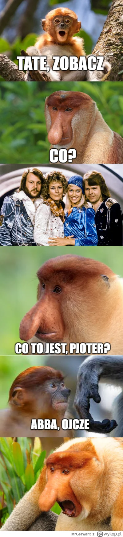 MrGerwant - #konkursnanajbardziejgownianymemznosaczem przerobiłem swojego starego mem...