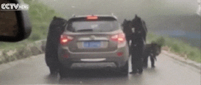 wfyokyga - Checkpoint Misiowy