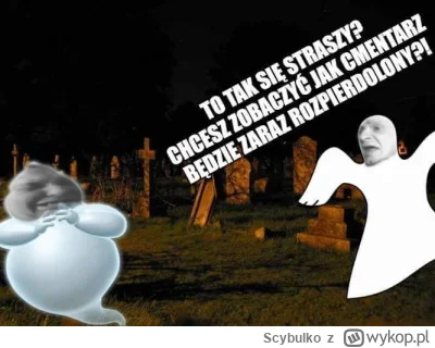 Scybulko - #kononowicz