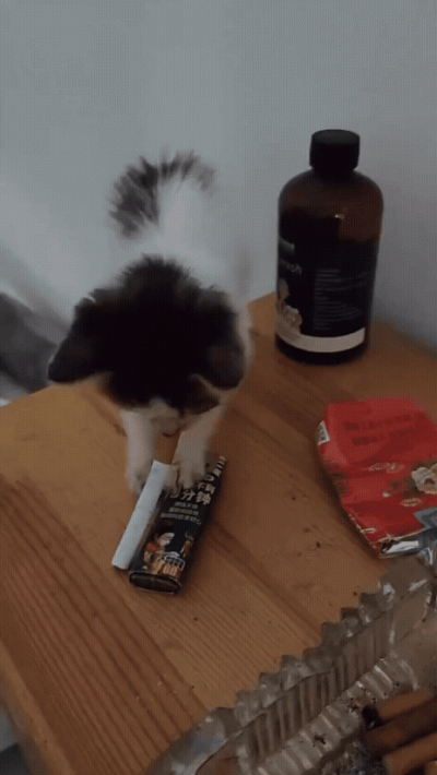 jestemtakizmeczony - wideo: kotki w kąpieli
https://streamable.com/loce01