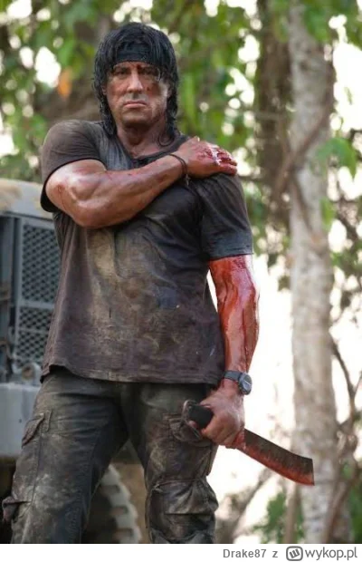 Drake87 - @Zgrywajac_twardziela scena która mówi do tej eko świruski 'a nie mówiłem'