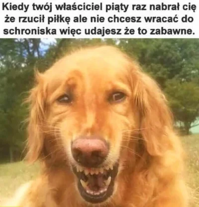 nextlvl - #heheszki #humorobrazkowy