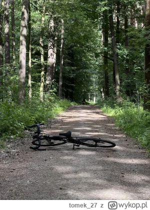 tomek_27 - 249 831 + 53 + 20 + 21 + 21 + 21 + 50 = 250 017

Z tygodnia jazdy :) Średn...