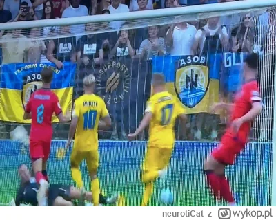 neurotiCat - Jeszcze nie tak dawno temu pewna polska organizacja "Nigdy Więcej", regu...