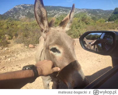 mateusz-bogacki - Dzień dobry, czy mają Państwo chwilę, żeby porozmawiać o Jezusie Ch...