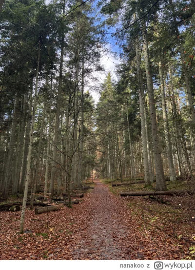 nanakoo - Chciałabym powiedzieć, że Roztocze jest piękne :)