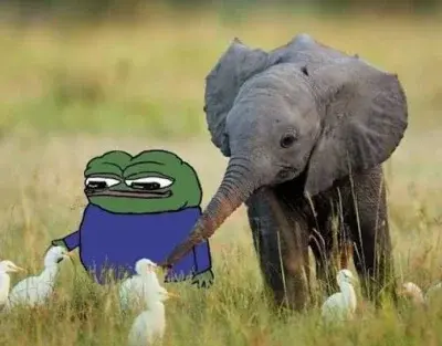 KukiScotland - @Drom: