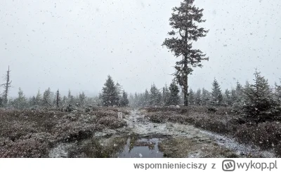 wspomnienieciszy - #gory #zima pierwszy #snieg #natura
Atak z zaskoczenia. Winter is ...