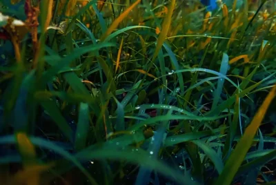 DziecizChoroszczy - #protip #zwiazki 
Przygarnijcie sobie babe z dzieciakami, już tak...