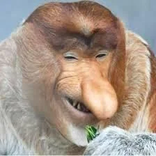 roundy-challenge - >Akcje Palantir spadają o 9% piąty dzień z rzędu od rekordowego po...