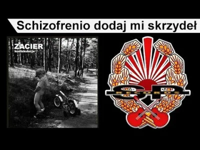 kielbasazmajonezem - Raz w kościele baba woła
Że widziała wszak anioła!
A to tylko ks...