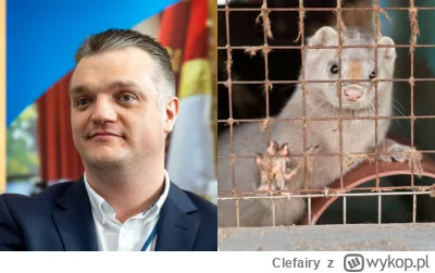 Clefairy - Co to za debata o rolnictwie jak wszyscy od początku wyskakują z bronienie...