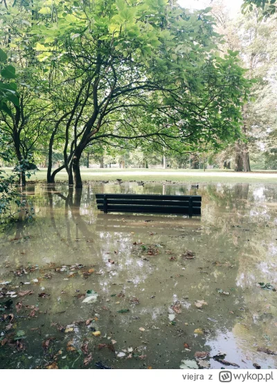 viejra - Sytuacja na Klecinie. Zdjęcia z dziś z Parku Klecinskiego.
#wroclaw