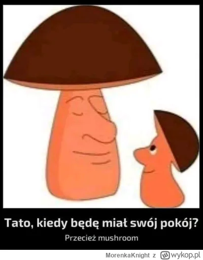 MorenkaKnight - @hotshops_pl 64 GB czarny