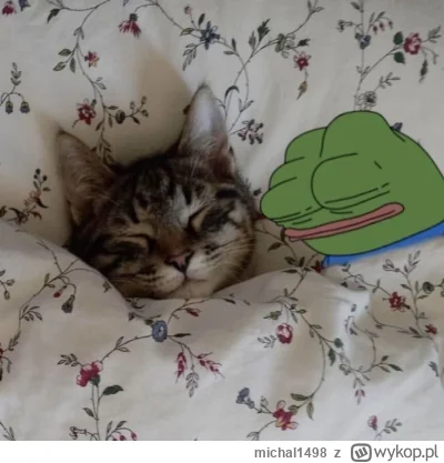 michal1498 - #przegryw