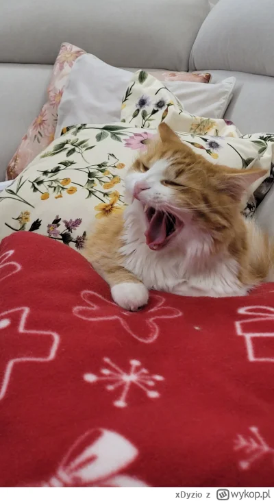 xDyzio - @folwgnag94  
( ͡º ͜ʖ͡º)