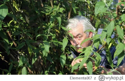 ElementalX7 - #famemma Boxdel czający się przy placu zabaw, koloryzowane