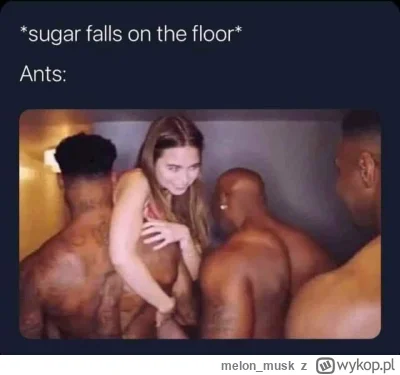 melon_musk - @Mihajuj