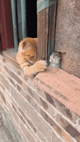 jestemtakizmeczony - @jestemtakizmeczony: