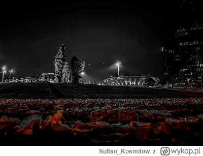Sultan_Kosmitow - #katowice