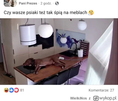 WielkiNos - Dzień dobry ( ͡º ͜ʖ͡º)

#psiarze #bekazpodludzi #patologiazmiasta #takasy...