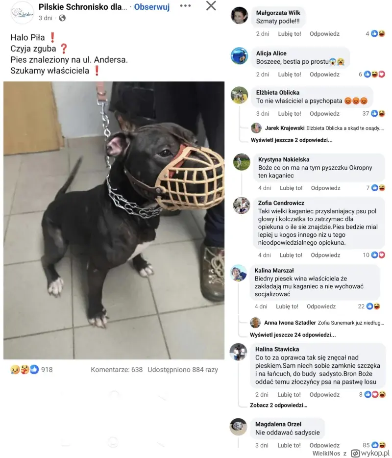 lukasz-dit - XDDDDDDDDDDDDDDDDDDD #bekazpodludzi #psiarze #polska