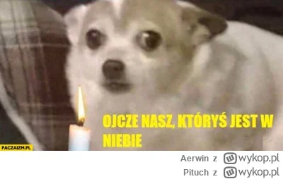 Pituch - zaraz 1 listopada i burza? xD #burza #lublin