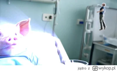 jqdro - Co się dzieje teraz w głowie Krzysia misia po śmiesznych cukierkach szpitalny...