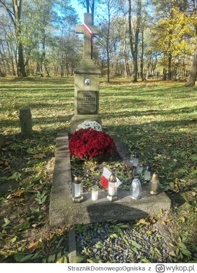 StraznikDomowegoOgniska - #mirkowyzwanie

Cześć, z mojego zestawu pytań wybrałem nume...