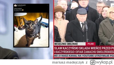 mariusz-madejczyk - W sobotę zdjęcie kotka i robienie z siebie "miłego dziadzia", a d...