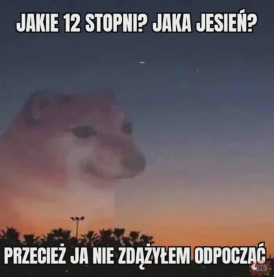 srul2016 - #heheszki #humorobrazkowy #memy