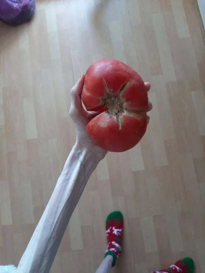 Neocaridina - Już za chwileczkę będziemy mieć świeżutkie pomidorki.
Lekko kwaskowe z ...