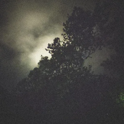 nothingleftbut_scars