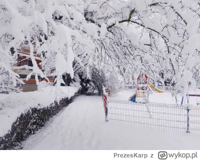 PrezesKarp - @PrezesKarp