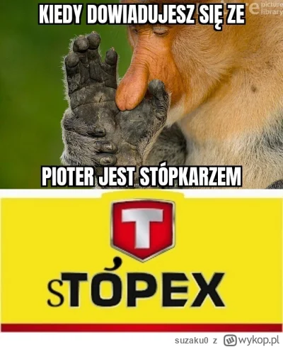 suzaku0 - #konkursnanajbardziejgownianymemznosaczem