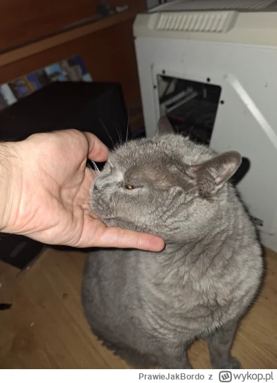 PrawieJakBordo - No elo :>