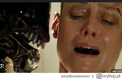 smallboobslover - @Moczymorda77: ( ͡° ͜ʖ ͡°)