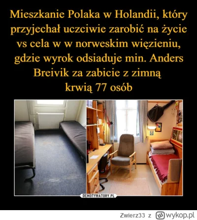 Zwierz33 - Teraz pomyślcie, że taki więzień ma za free lepsze warunki zycia, opekę me...