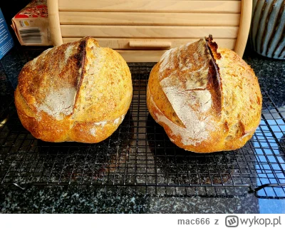 mac666 - Na śniadanie jak znalazł.

#gotujzwykopem #bojowkapiekarska