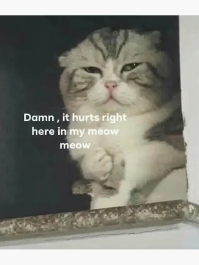 DzikiBomber - @Zoriuszka
bo jak ktoś śmie im smsy wysyłać na memofon, oni są zajęci p...