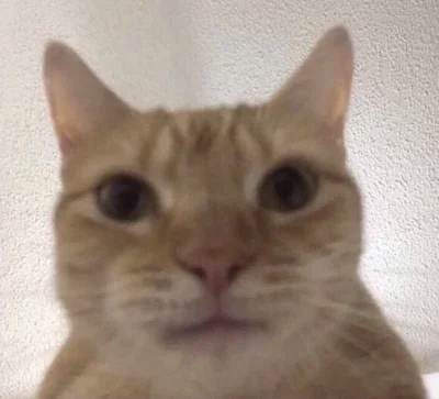 vieniasn - @spierdocilaptor ja zaraz ten wniosek za ciebie tam złożę